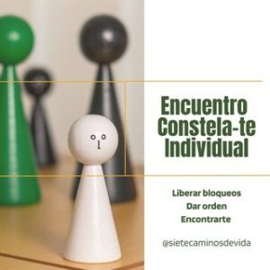 Encuentro Constela-Te