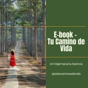 Ebook Tu Camino de Vida